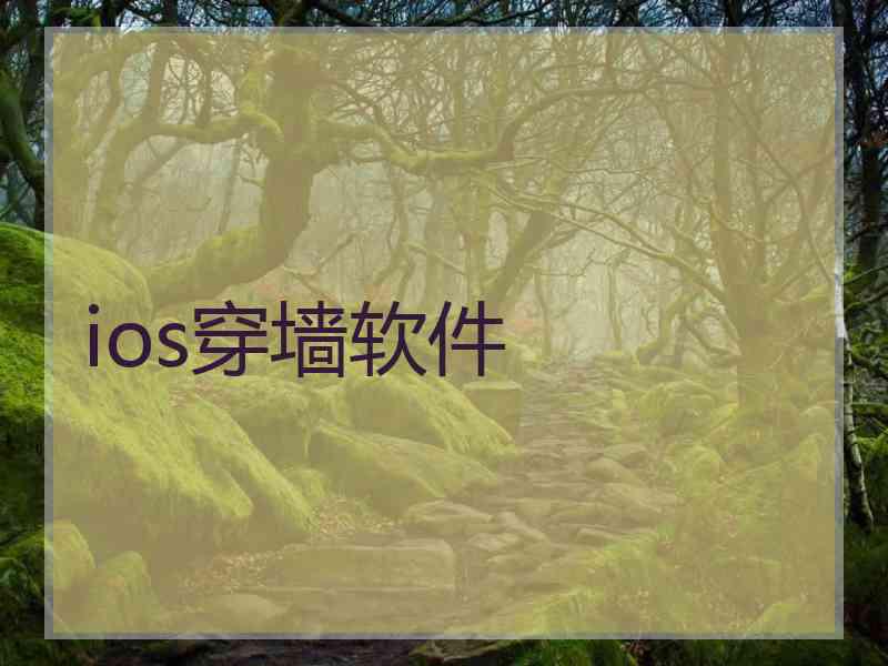 ios穿墙软件