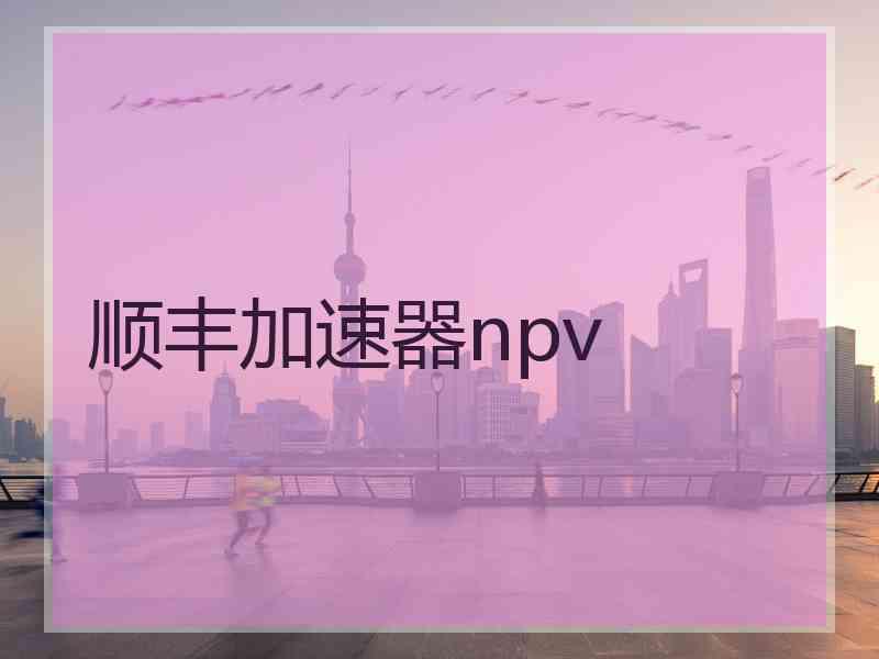 顺丰加速器npv