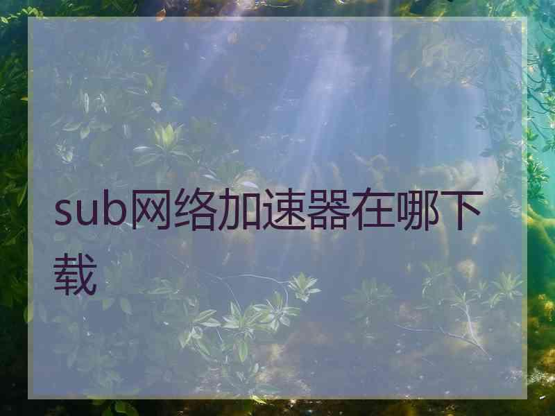 sub网络加速器在哪下载