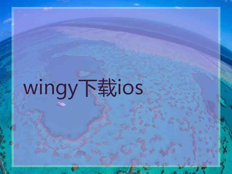 wingy下载ios