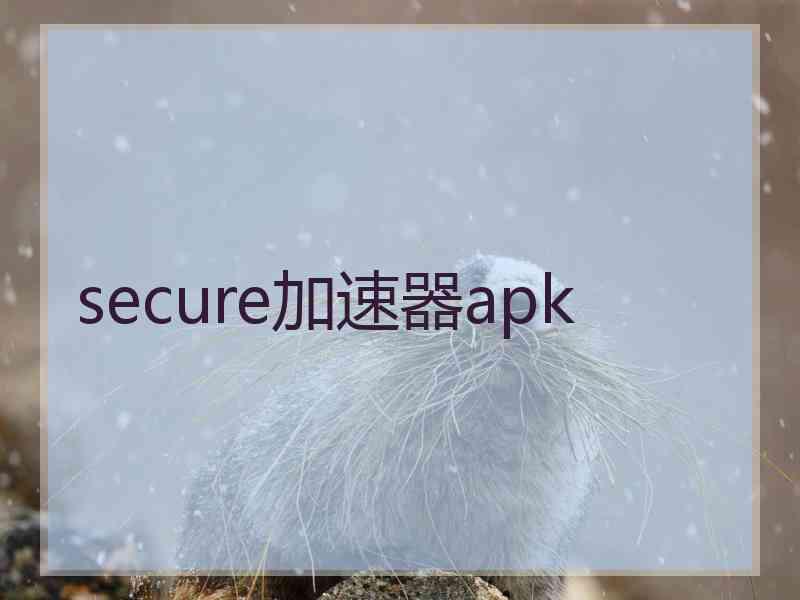 secure加速器apk