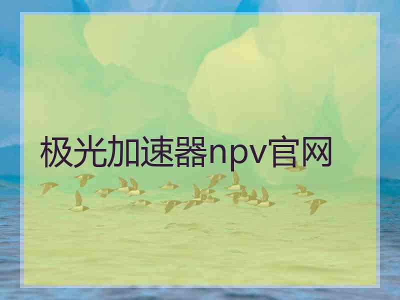 极光加速器npv官网