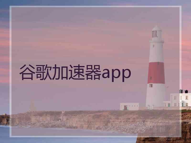 谷歌加速器app