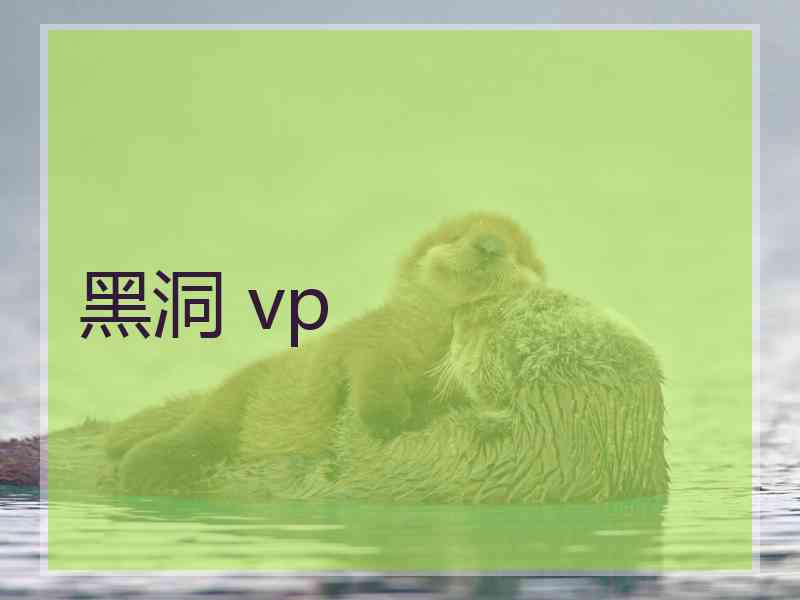 黑洞 vp