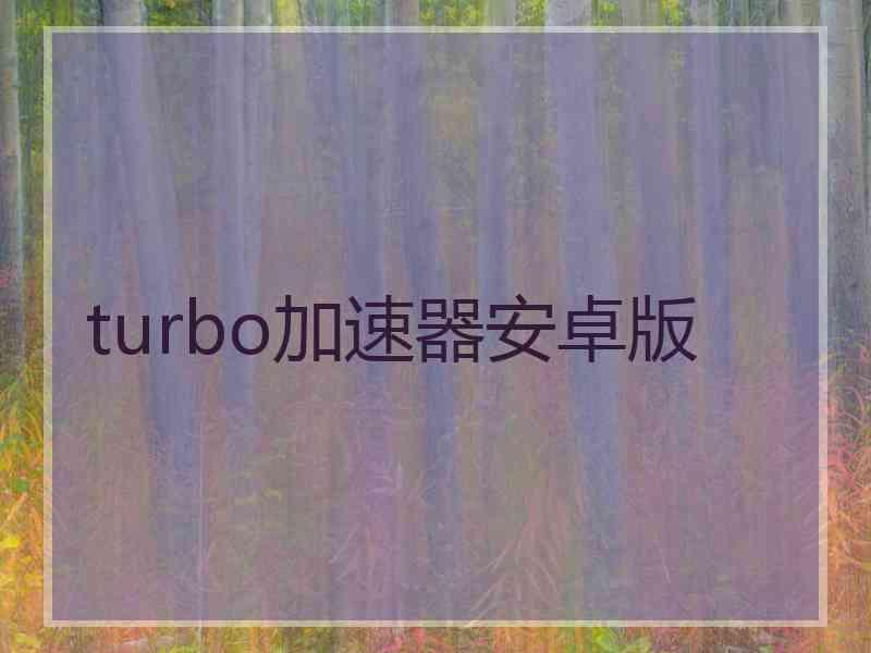 turbo加速器安卓版