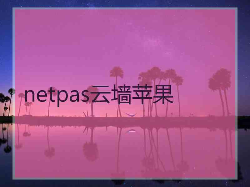 netpas云墙苹果