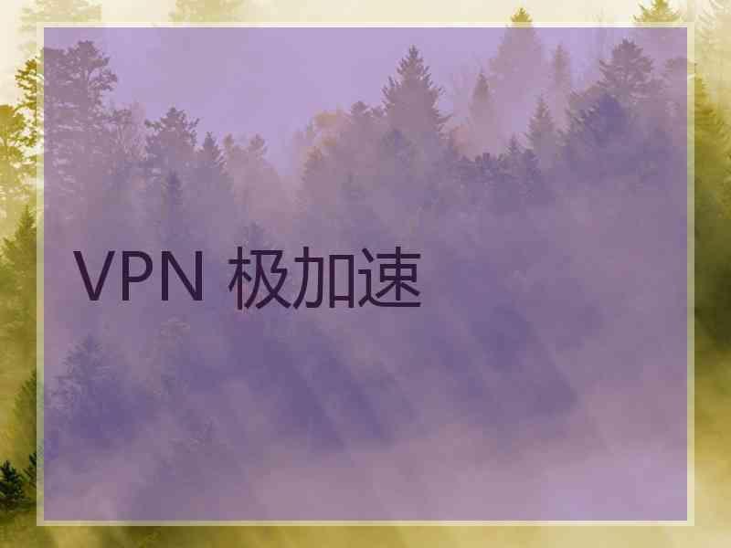 VPN 极加速