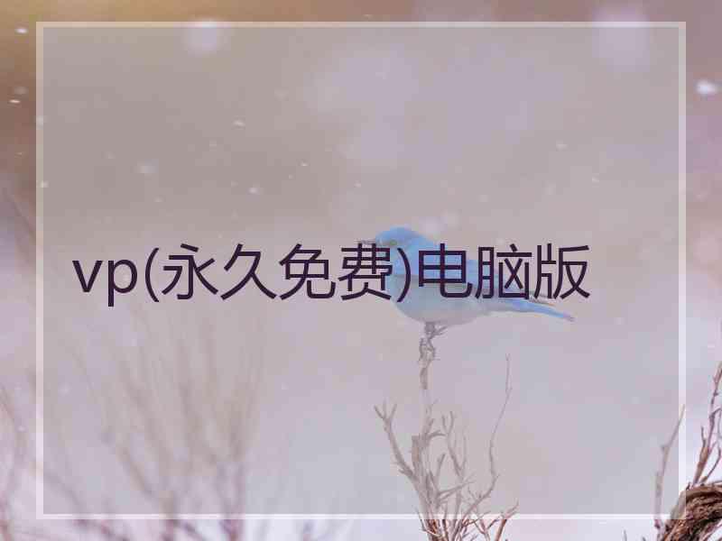 vp(永久免费)电脑版