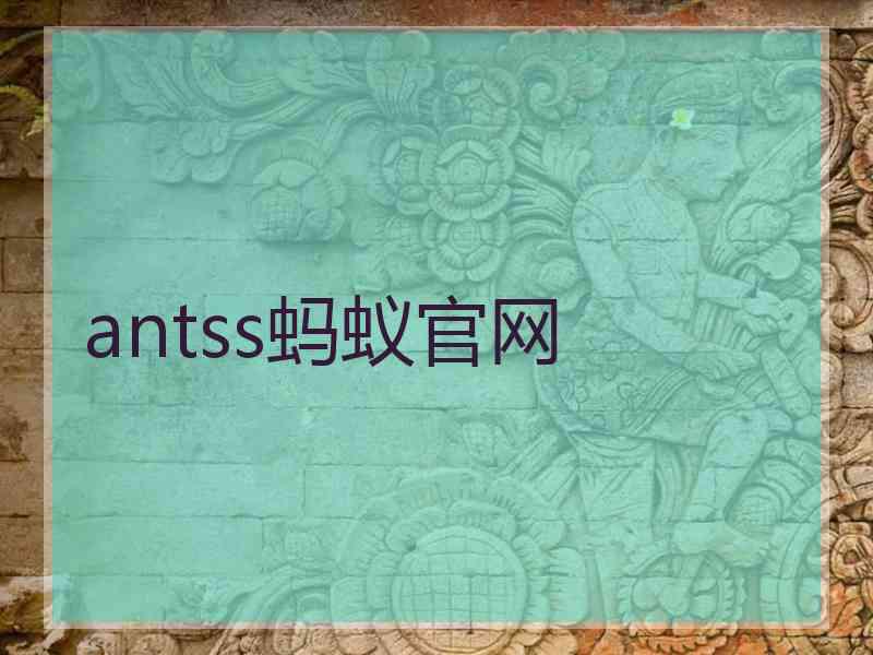 antss蚂蚁官网