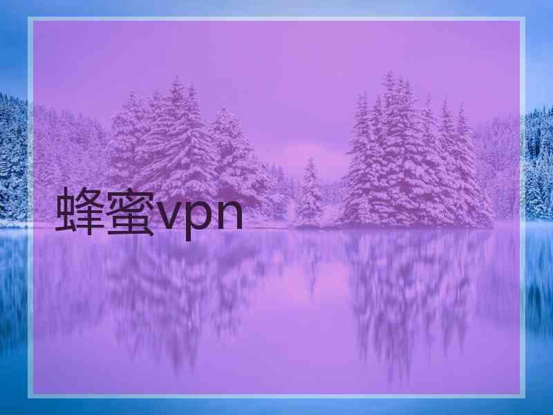 蜂蜜vpn