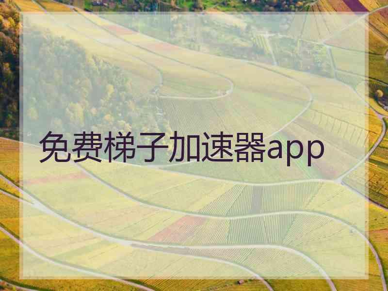 免费梯子加速器app