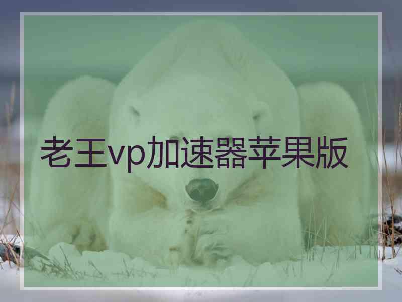 老王vp加速器苹果版