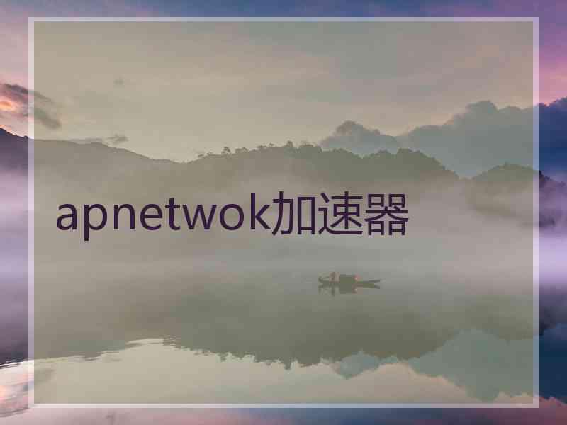 apnetwok加速器