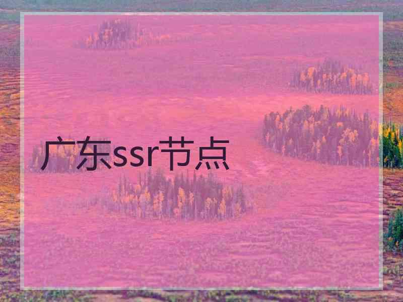 广东ssr节点