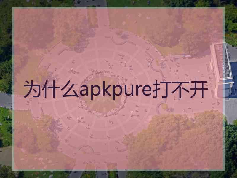 为什么apkpure打不开