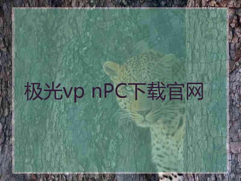 极光vp nPC下载官网