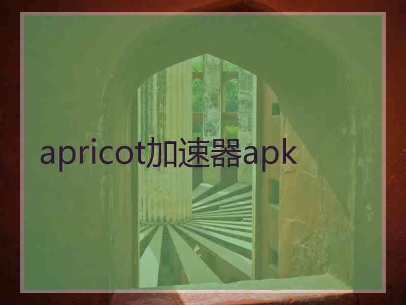 apricot加速器apk