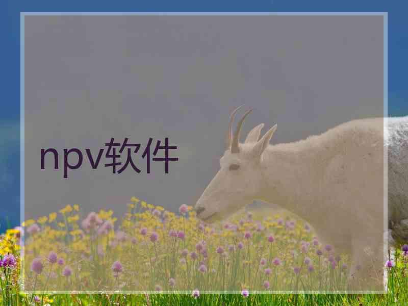 npv软件