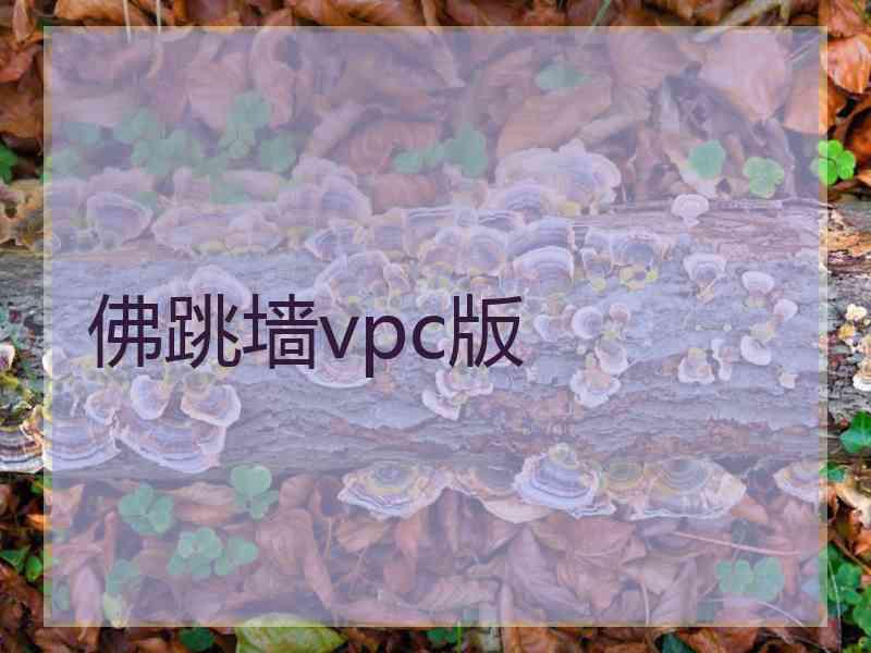 佛跳墙vpc版