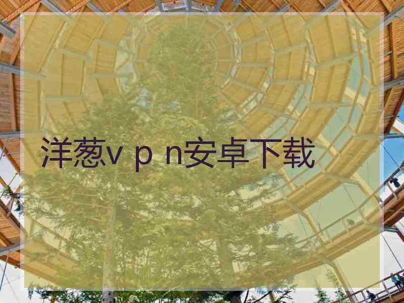 洋葱v p n安卓下载