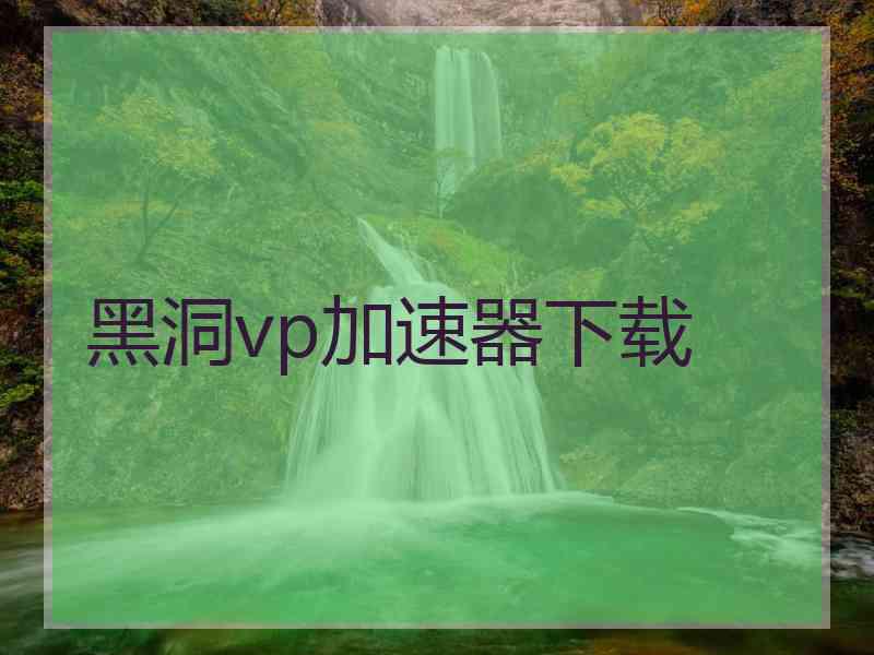 黑洞vp加速器下载