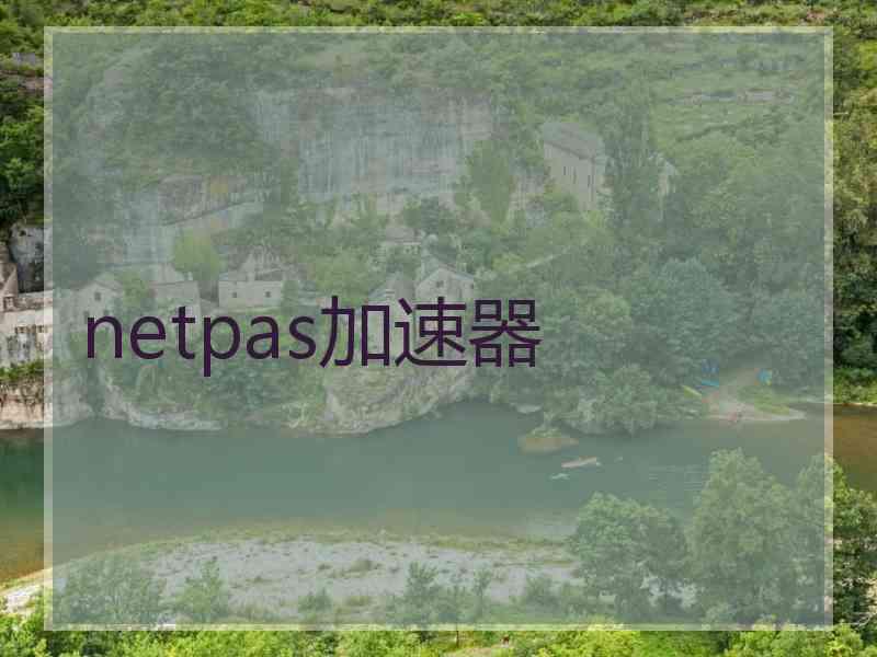 netpas加速器