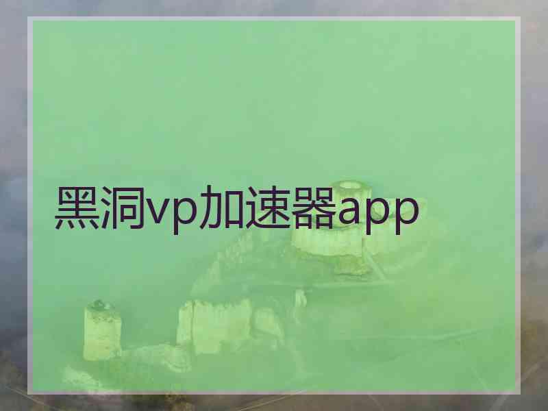 黑洞vp加速器app