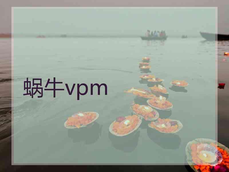 蜗牛vpm