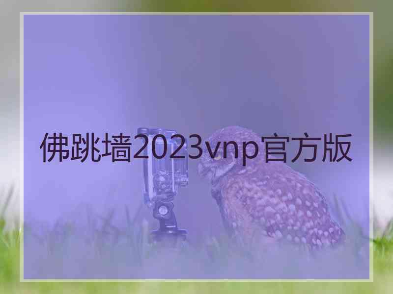 佛跳墙2023vnp官方版