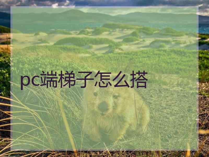 pc端梯子怎么搭