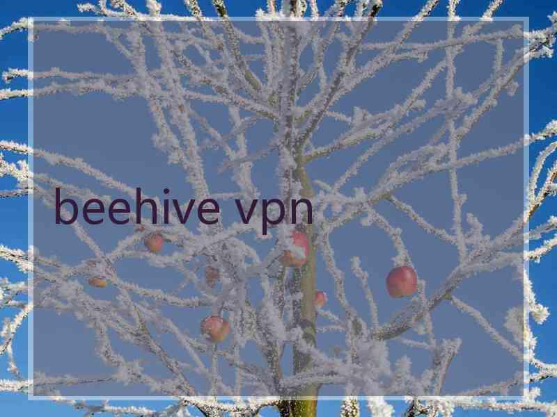 beehive vpn