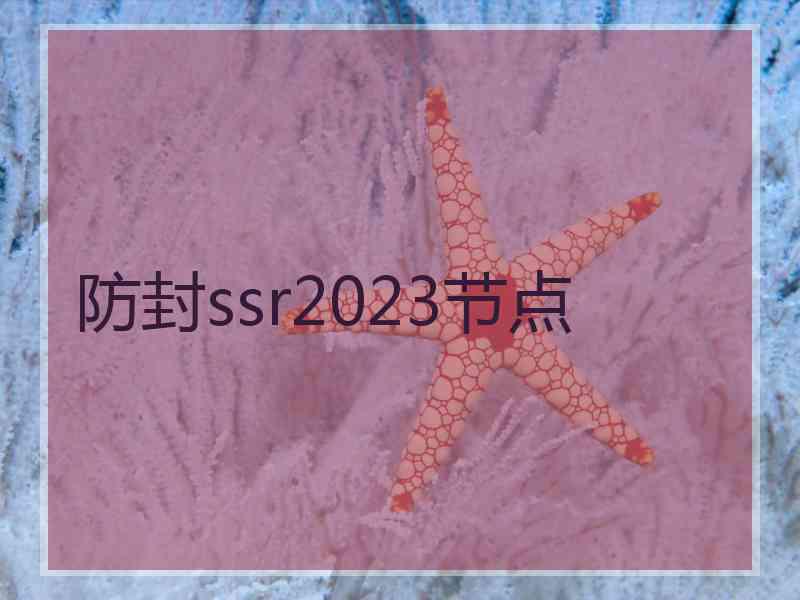 防封ssr2023节点