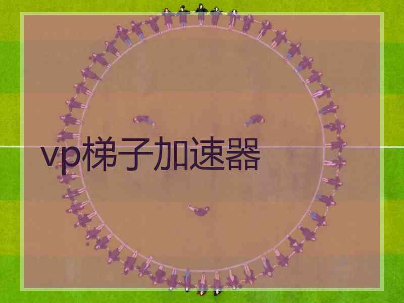 vp梯子加速器