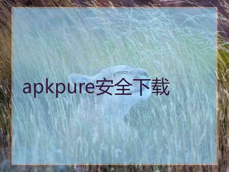 apkpure安全下载