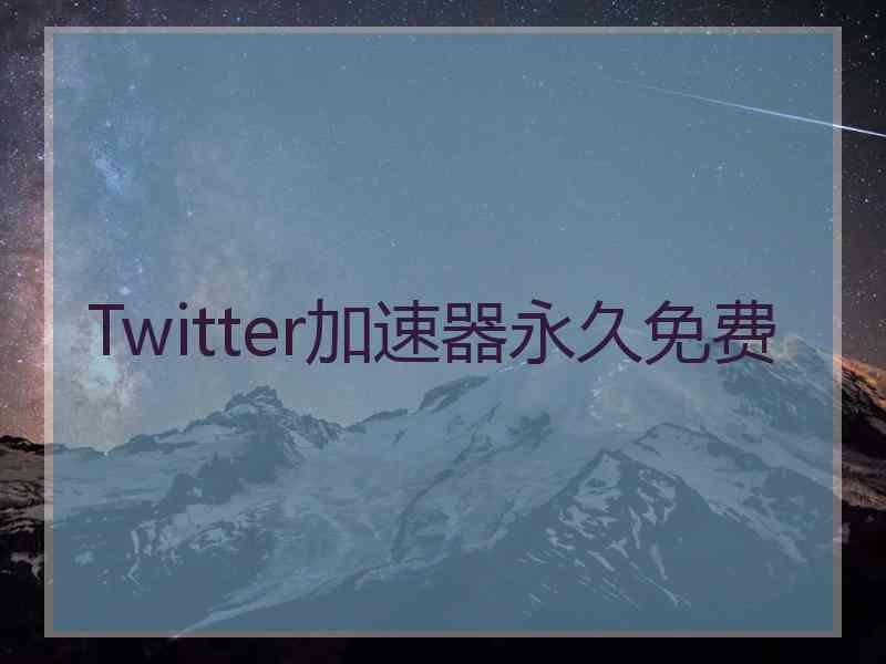 Twitter加速器永久免费