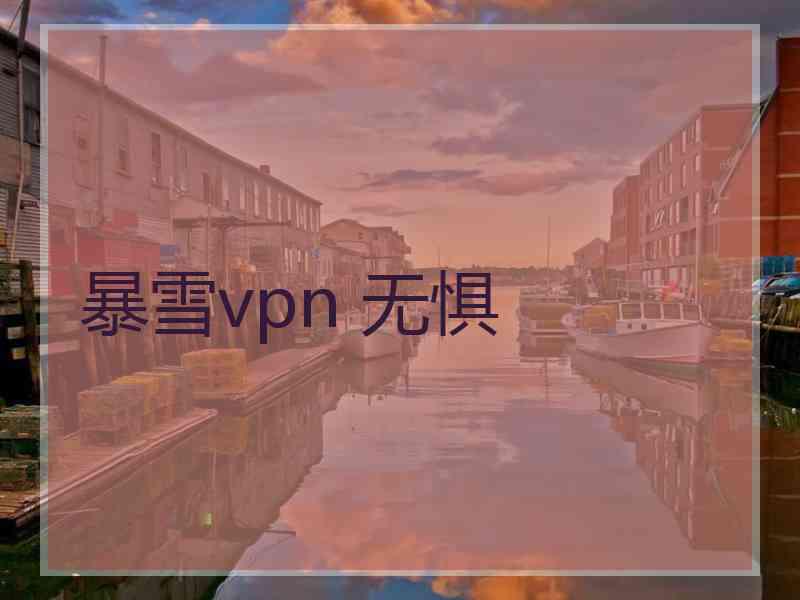 暴雪vpn 无惧