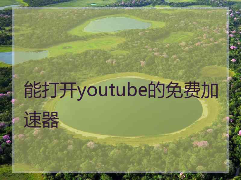 能打开youtube的免费加速器