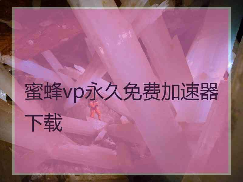 蜜蜂vp永久免费加速器下载