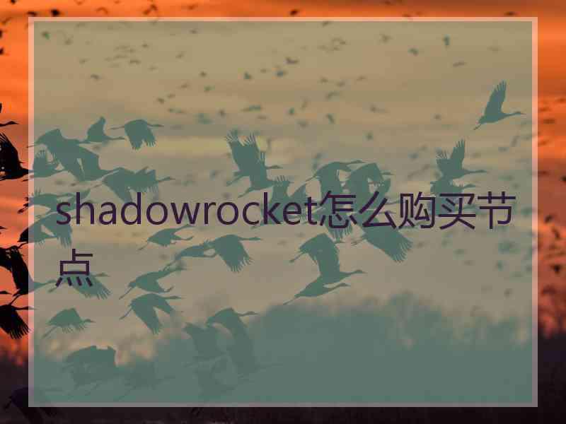 shadowrocket怎么购买节点