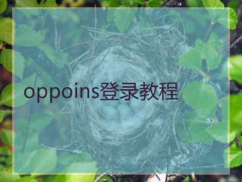 oppoins登录教程