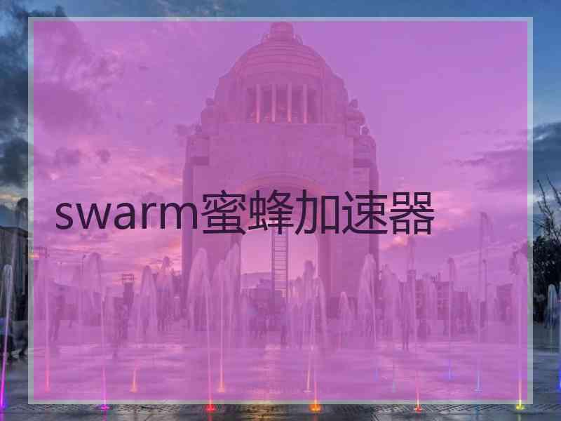 swarm蜜蜂加速器