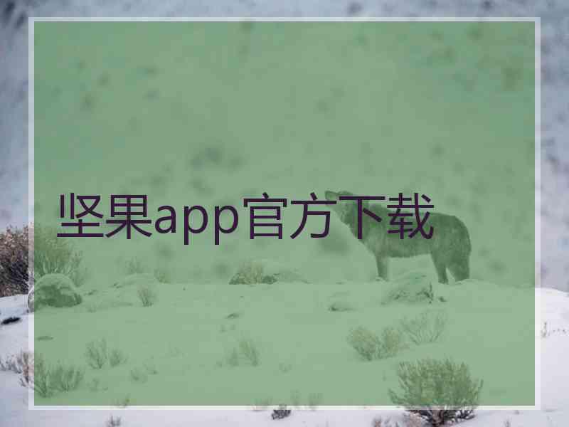 坚果app官方下载