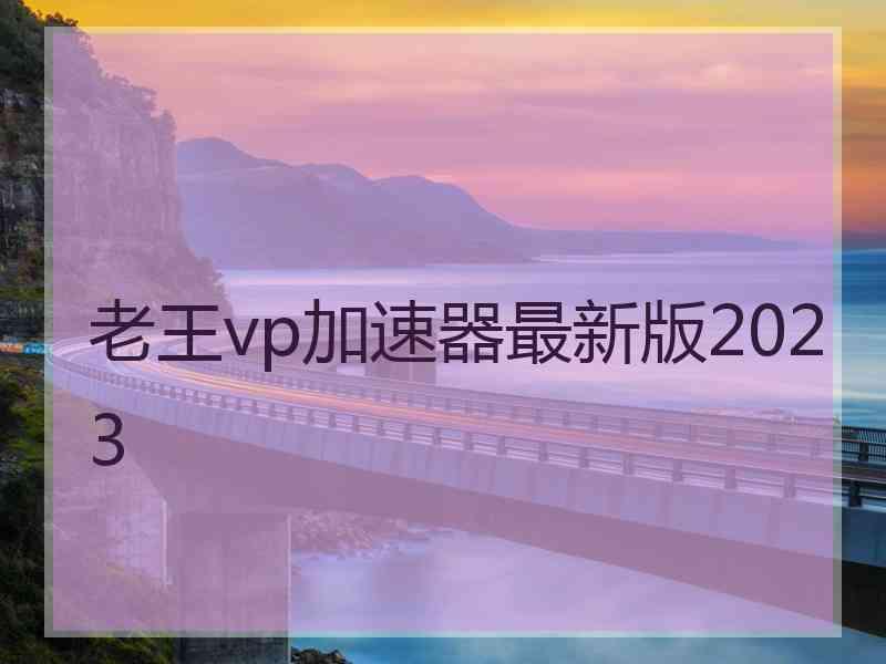 老王vp加速器最新版2023