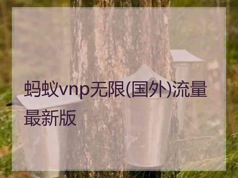 蚂蚁vnp无限(国外)流量最新版