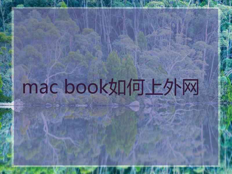 mac book如何上外网