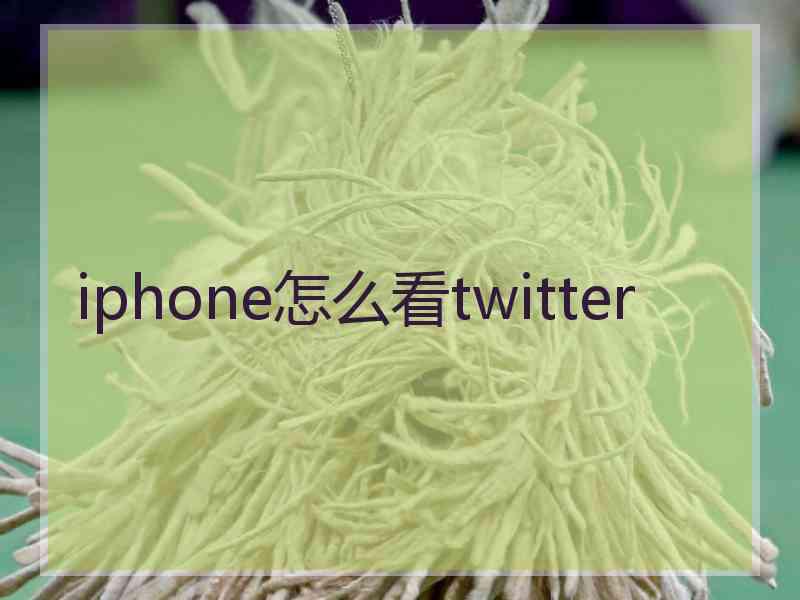 iphone怎么看twitter