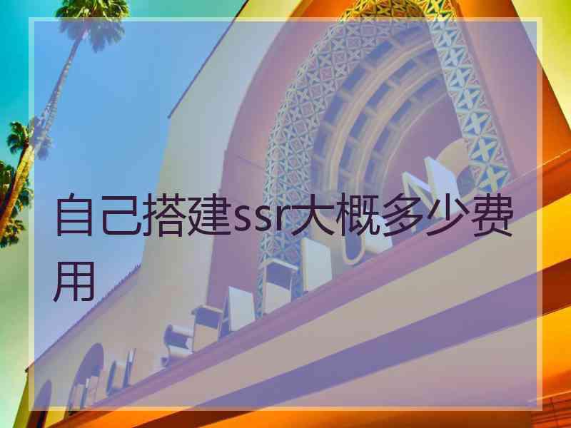 自己搭建ssr大概多少费用