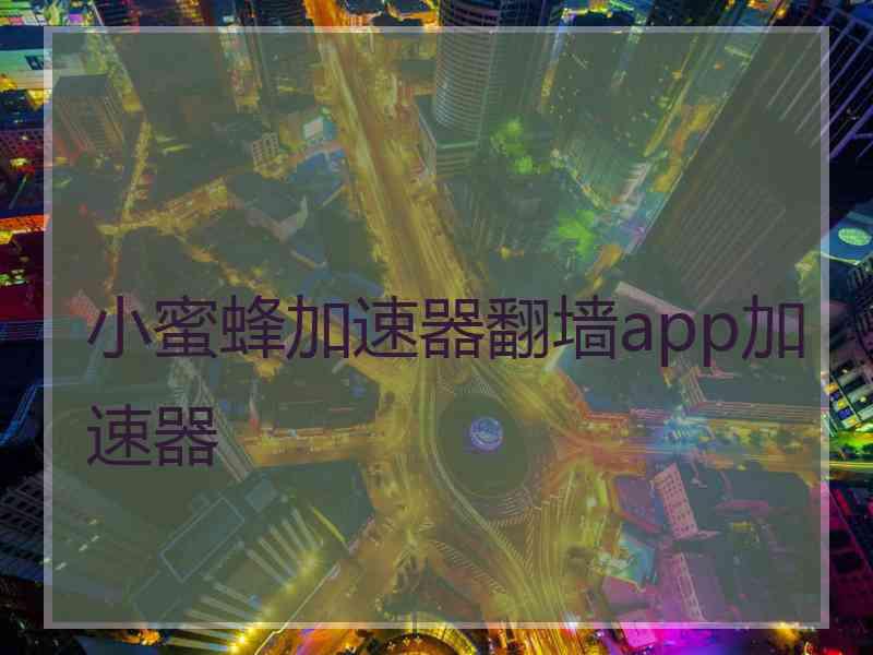 小蜜蜂加速器翻墙app加速器