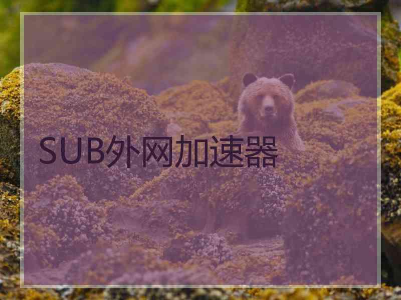 SUB外网加速器