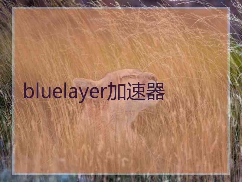 bluelayer加速器